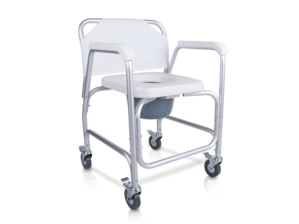 Silla inodoro 8800
